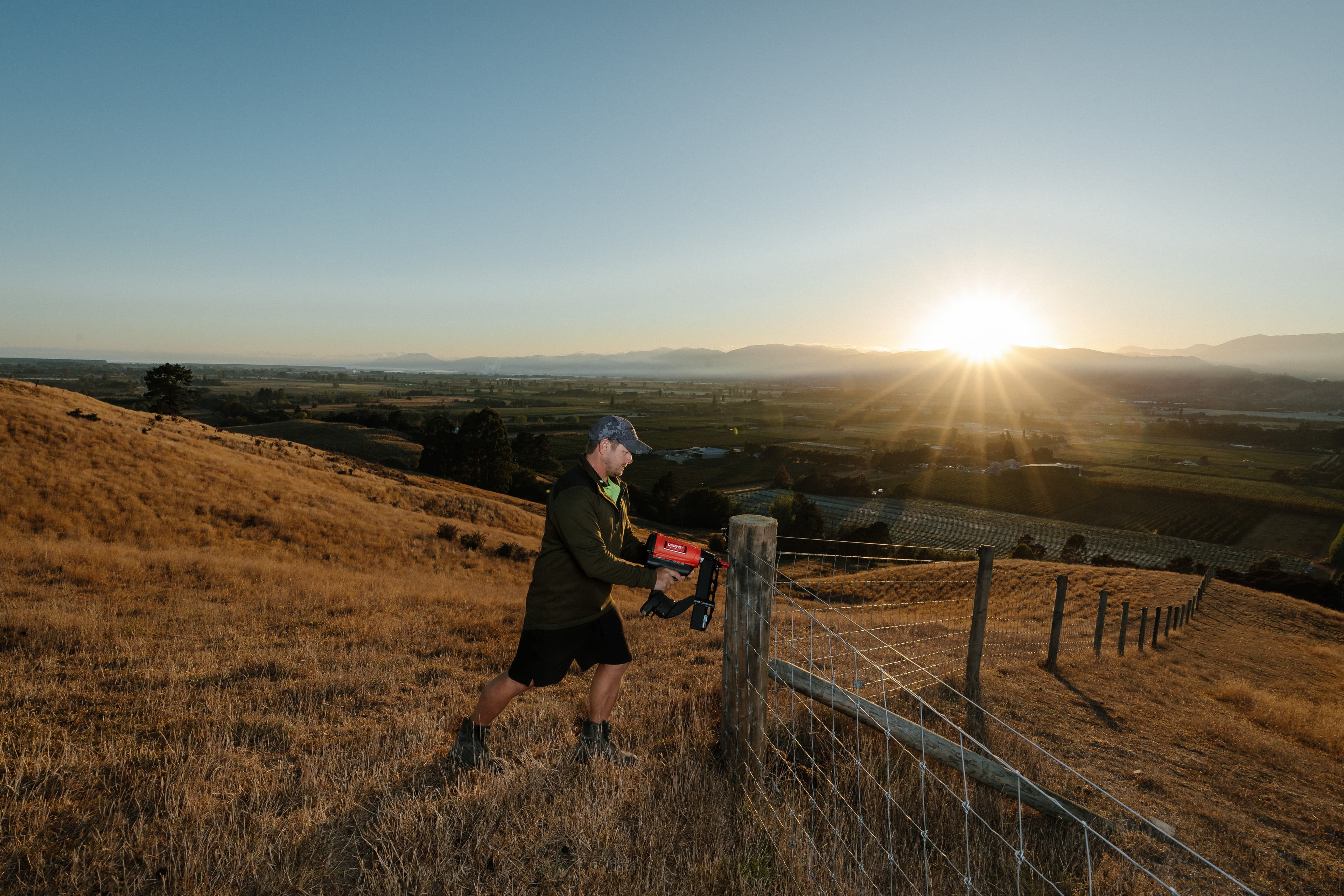 100% NZ BORN & BRED